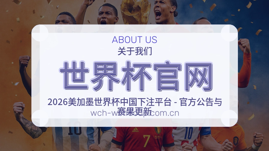 世界杯官网服务范围介绍